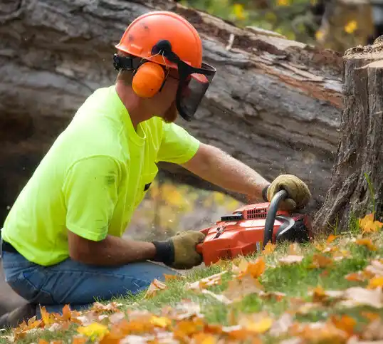 tree services Shenandoah